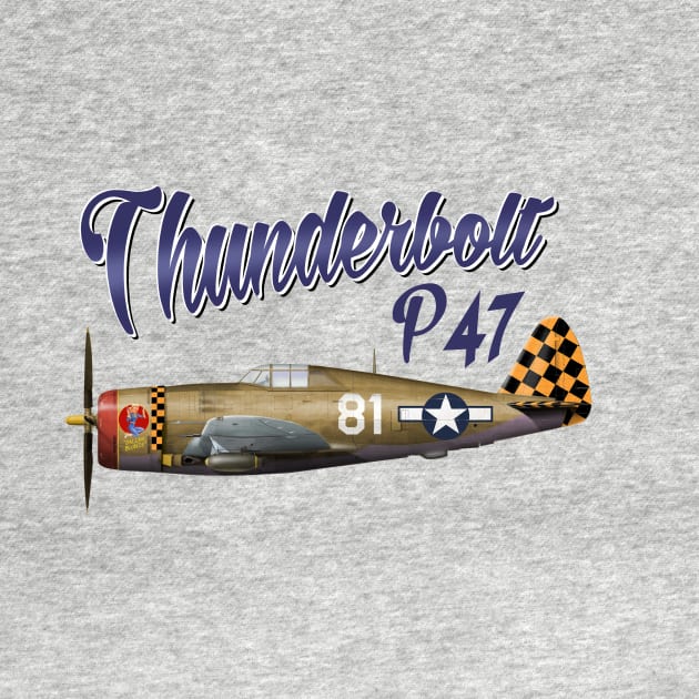 Thunderbolt P-47 Fighter by Spyinthesky